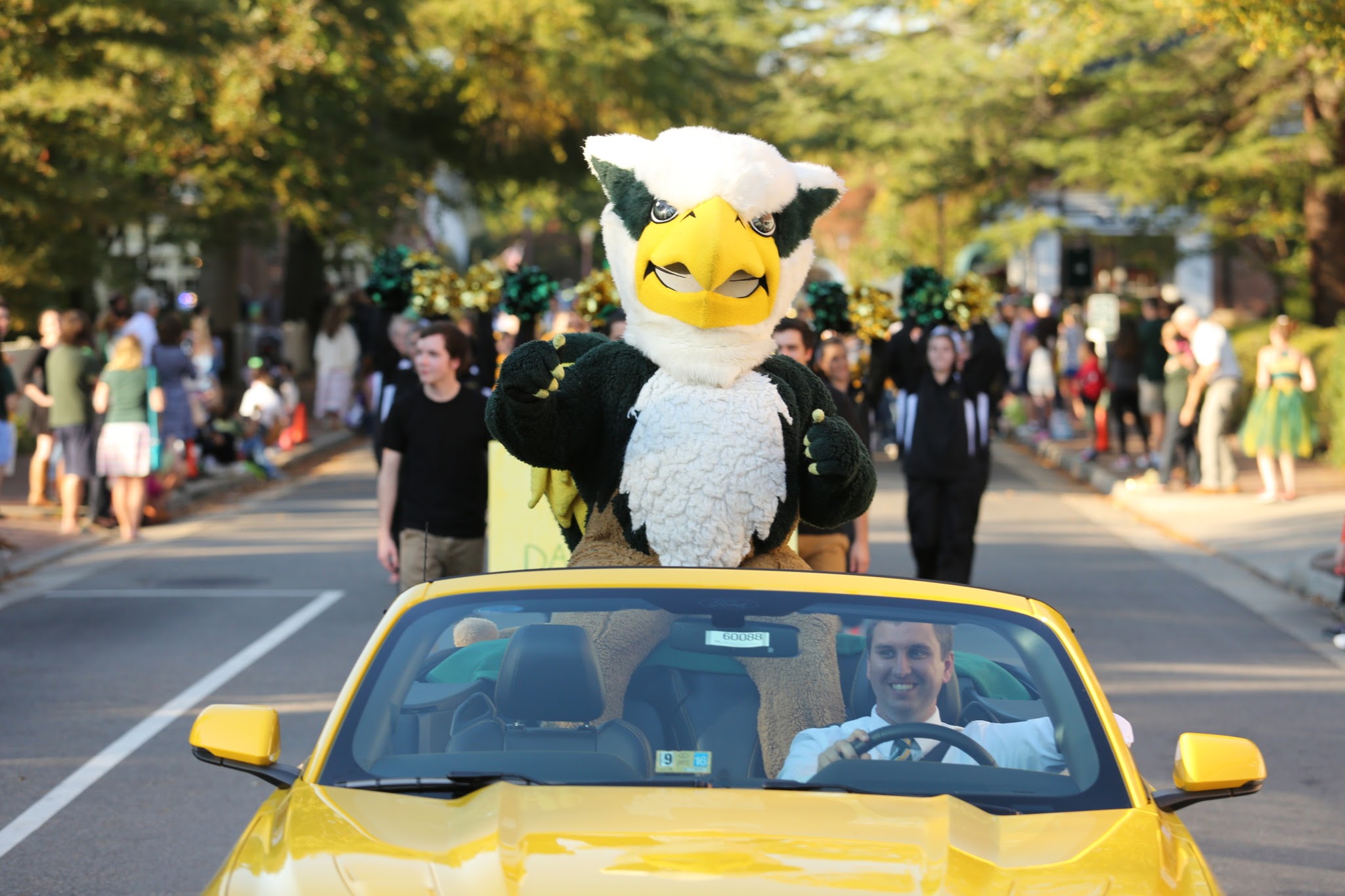 Scott Percic driving a university mascot in a yellow convertible during a homecoming parade